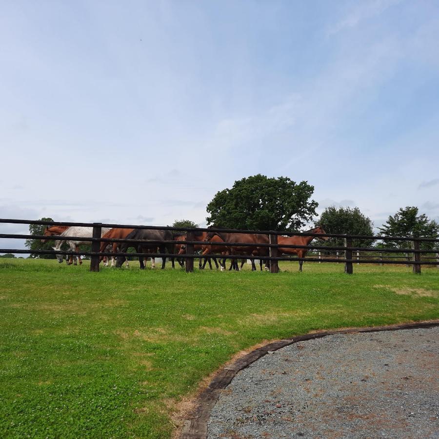 Gite De Blagny Saint-Clair-sur-l'Elle ภายนอก รูปภาพ